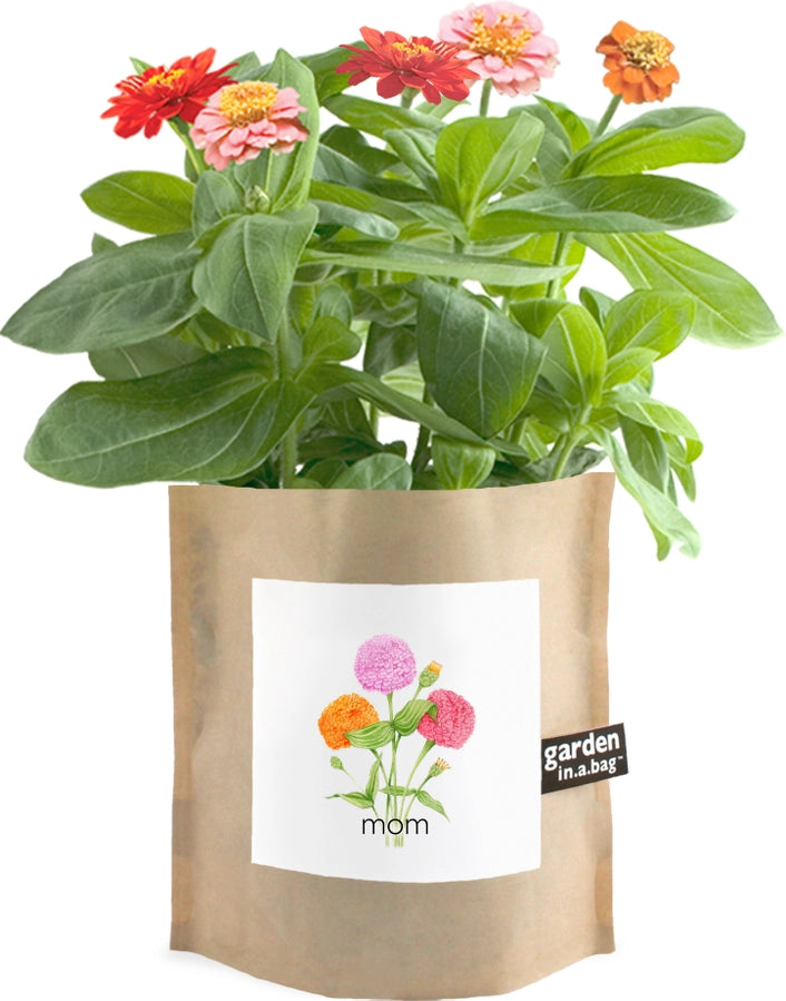 Garden In A Bag - Mom